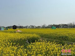 (乡村行·看振兴)踏青享春光 浙江乡村多元业态激活“春日经济”